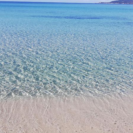 L'Anfora Bed & Breakfast Alghero Rom bilde