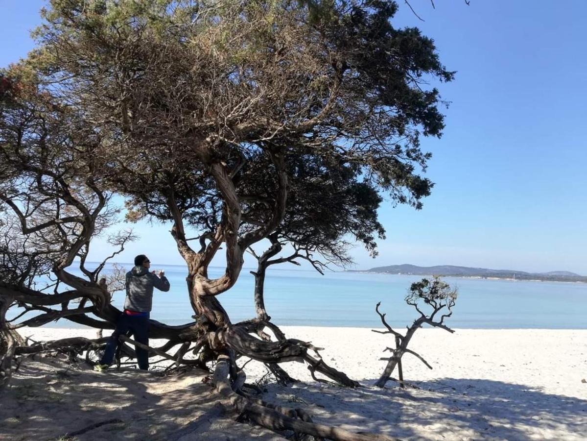 L'Anfora Bed & Breakfast Alghero Eksteriør bilde