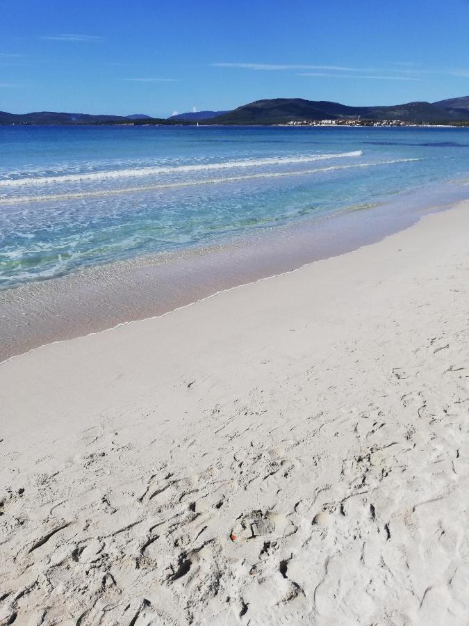 L'Anfora Bed & Breakfast Alghero Eksteriør bilde